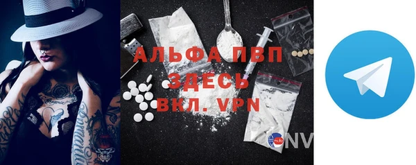 индика Ладушкин