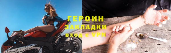 индика Ладушкин
