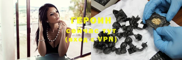 индика Ладушкин
