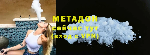 индика Ладушкин