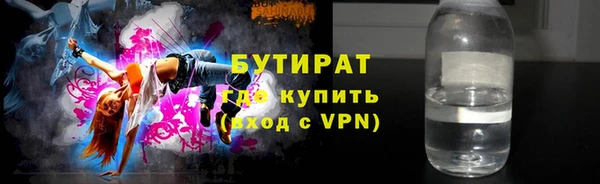 индика Ладушкин