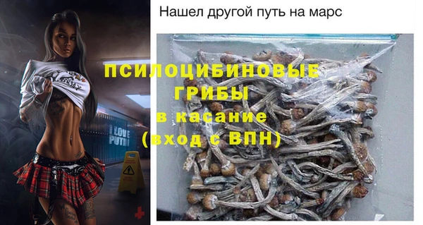 индика Ладушкин
