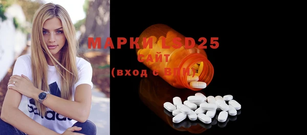 индика Ладушкин