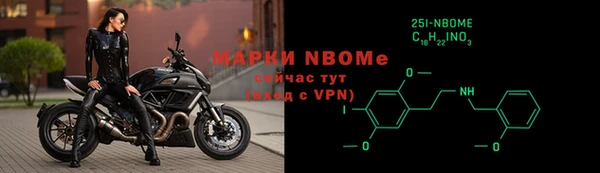 индика Ладушкин