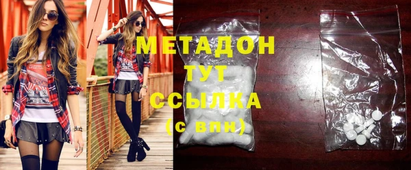 индика Ладушкин