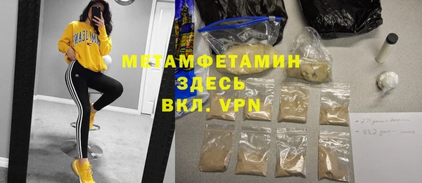 индика Ладушкин