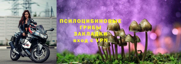 индика Ладушкин