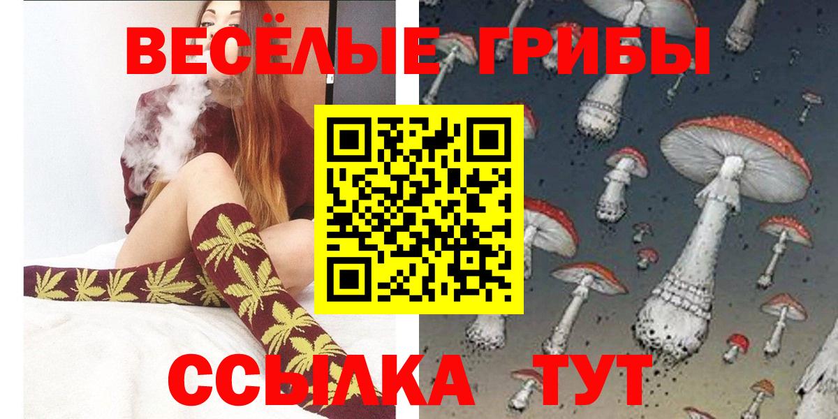 продажа наркотиков  Галлюциногенные грибы Cubensis  Вологда  Псилоцибиновые грибы ЛСД 